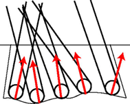 CL data generated by proposed method